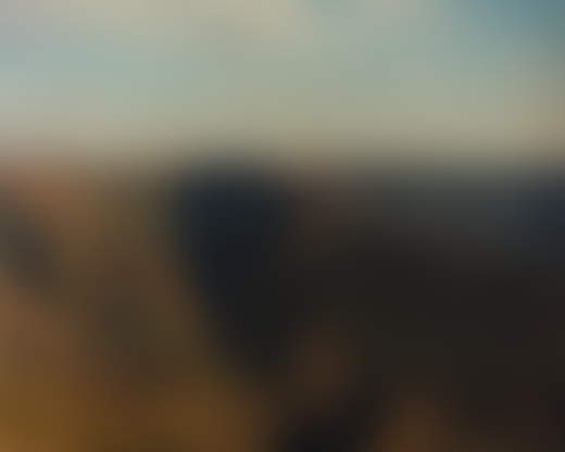 The green and brown canyons of the ancient forest.