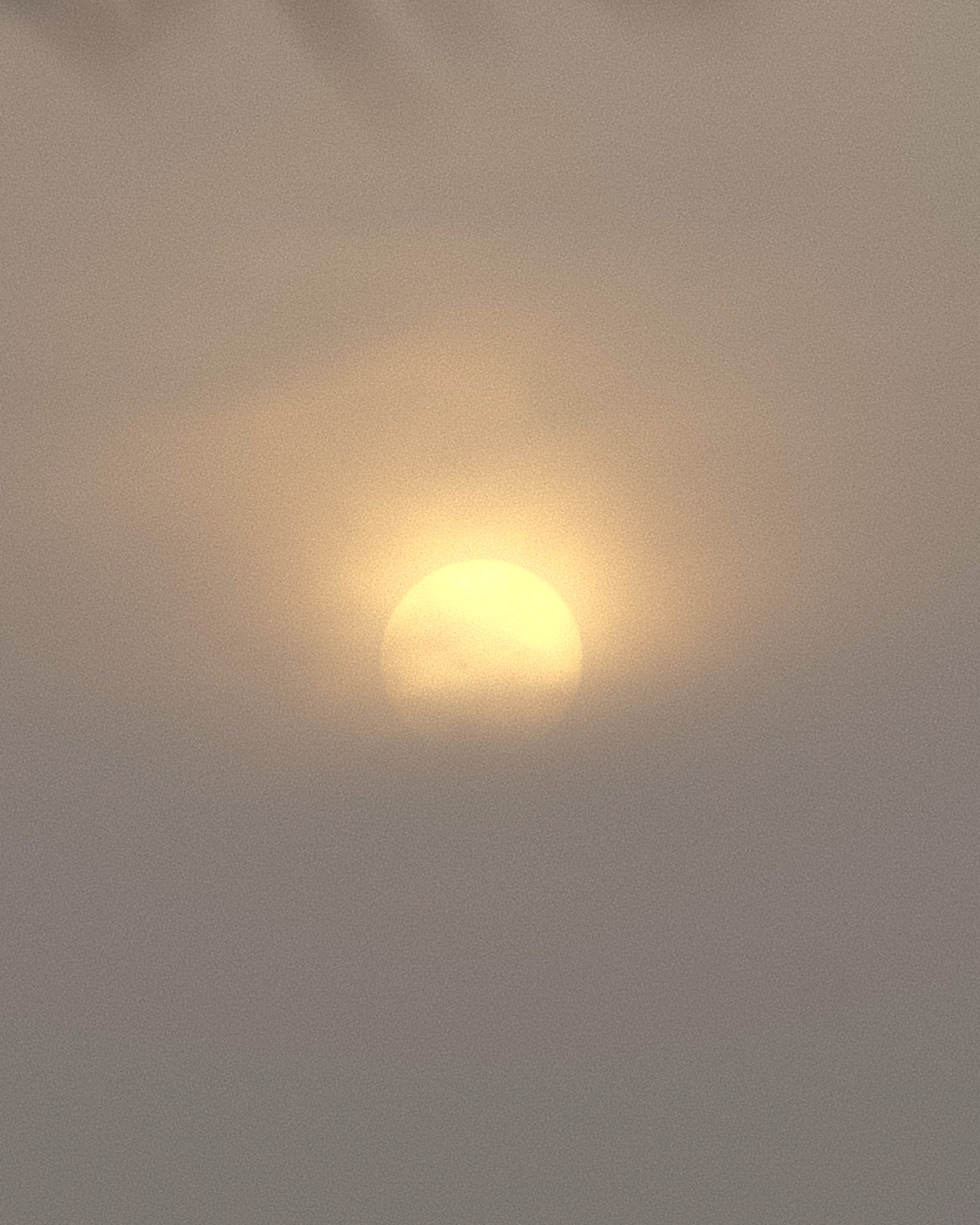 The hazy sky partially hides a bright moon from view.