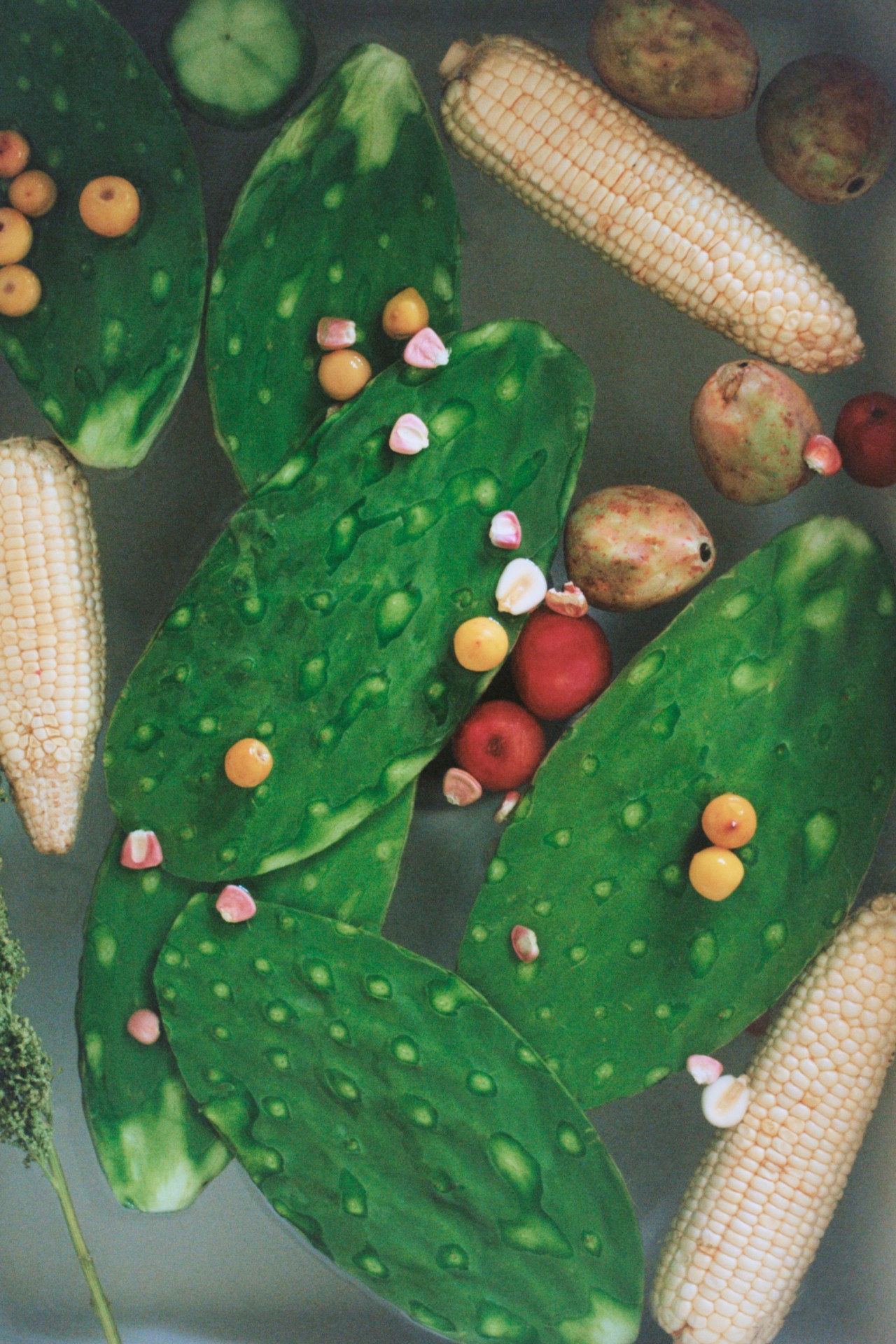 Cactus pieces, corn, and other vegetables float in water.