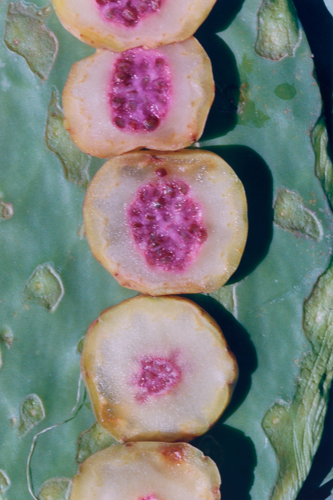 Sliced fruit is arranged in a vertical line on top of a cactus leaf.