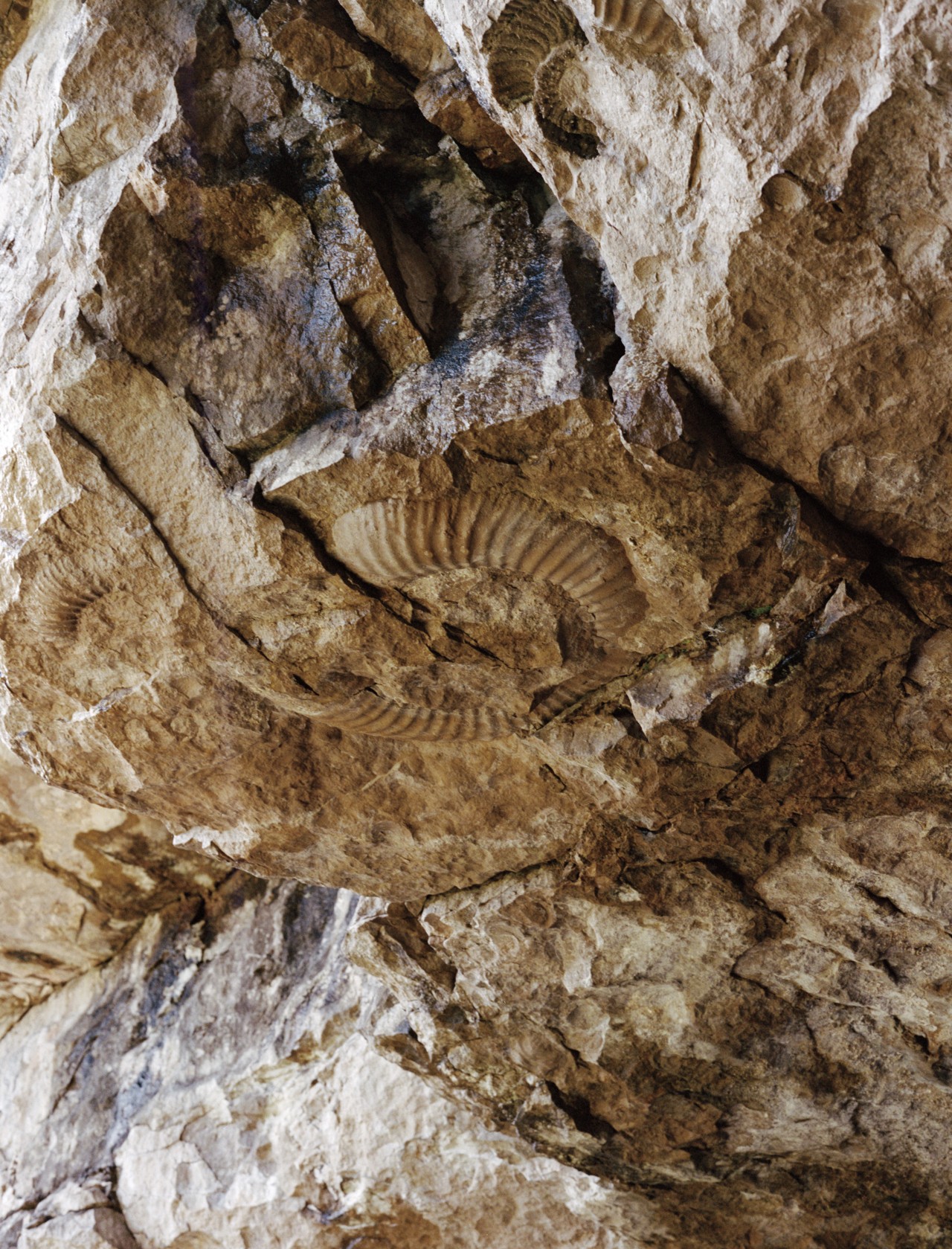 A light brown rocky cliff