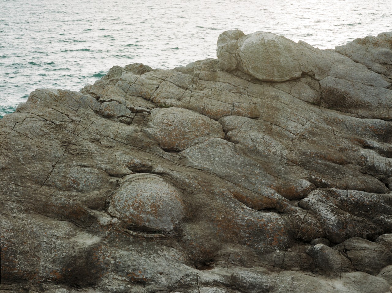 A close-up of a large boulder with the calm ocean in the near distance, the result of evolution.