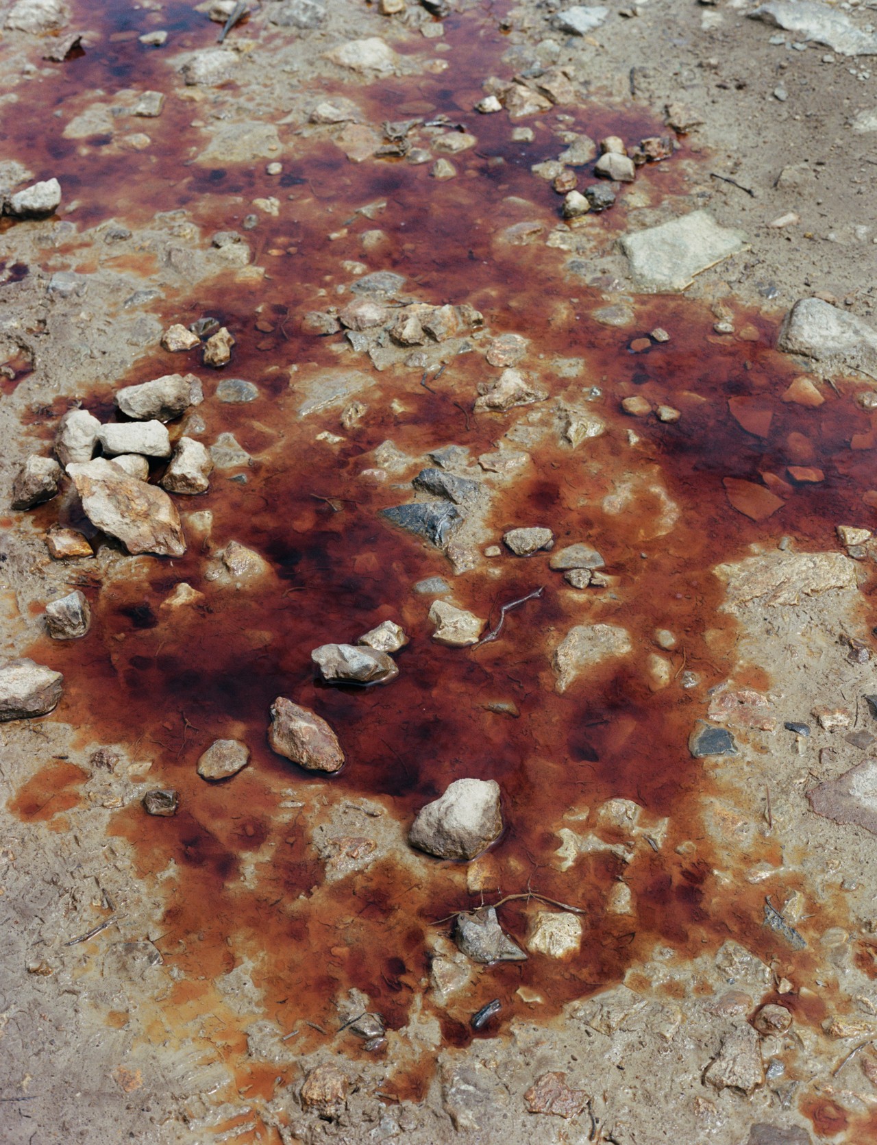 Dark orange, aged dirt mixes with gray gravel on the earth's floor show the power of evolution.