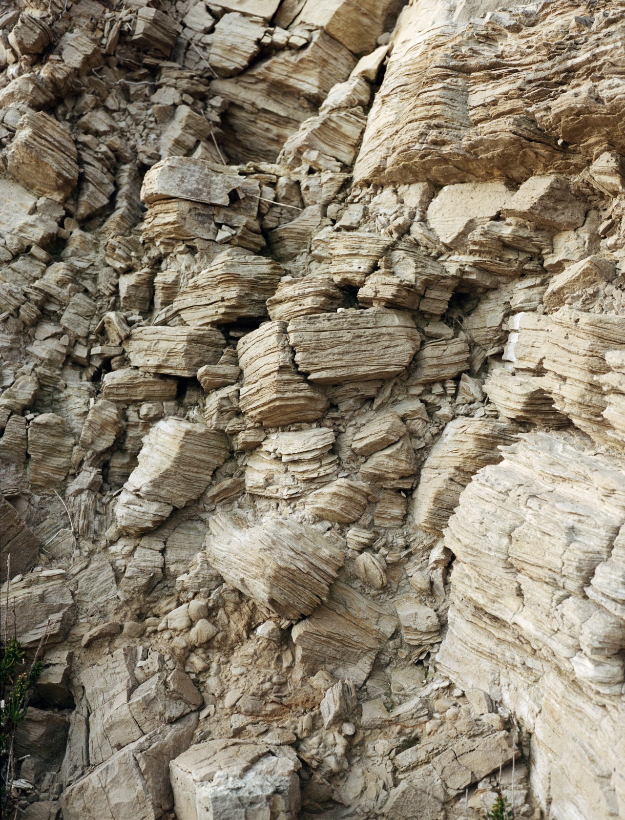 The side of a rocky cliff demonstrates evolution.
