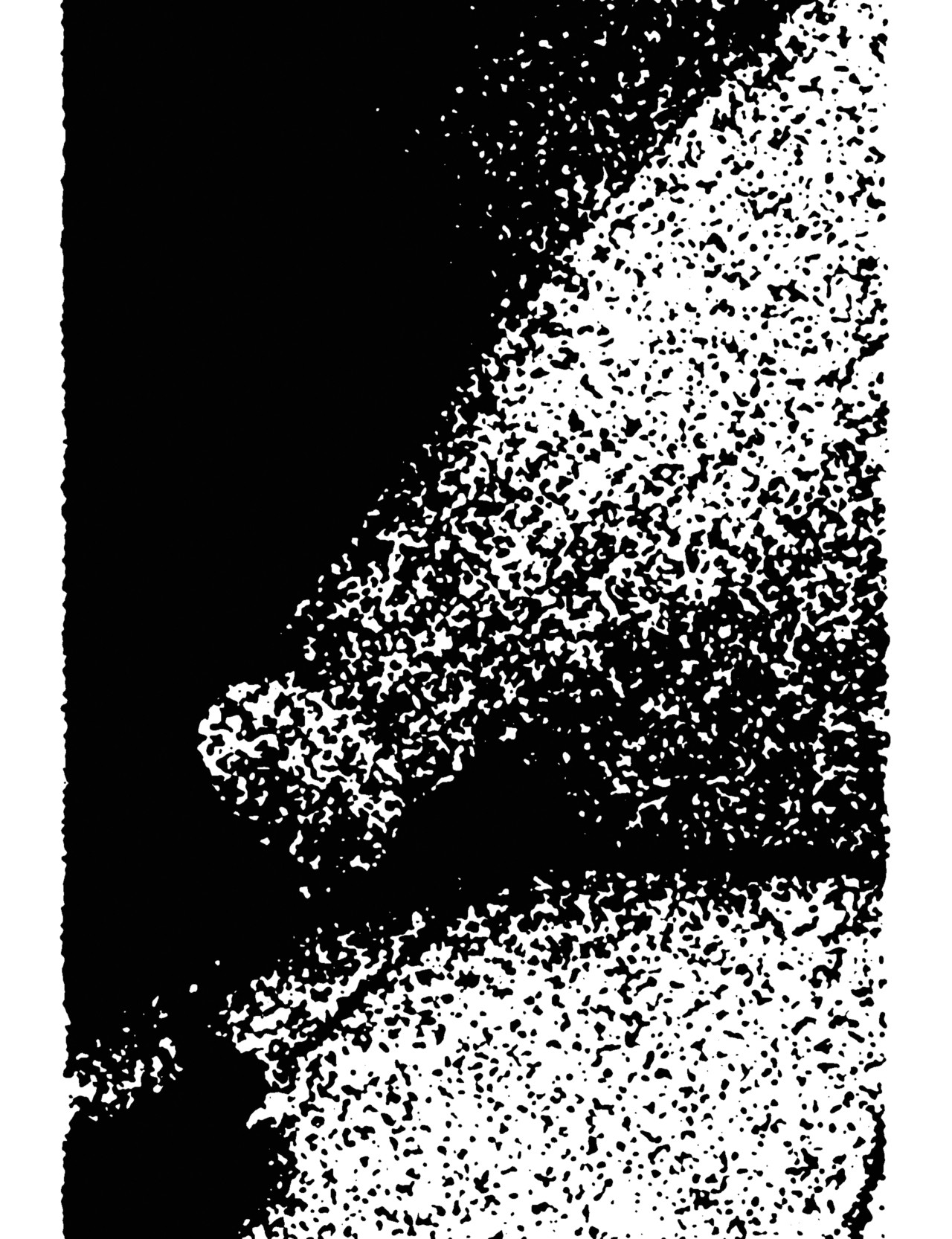 A fuzzy black and white illustration.
