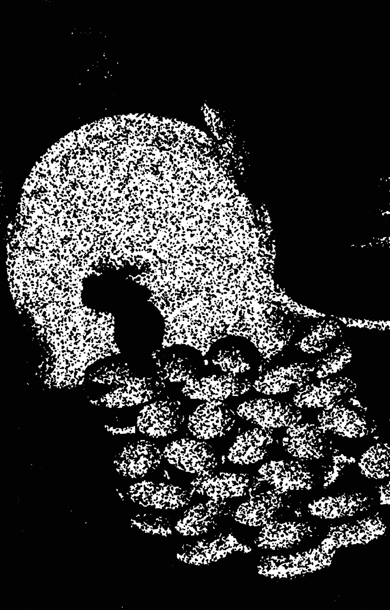 A fuzzy black and white illustration.