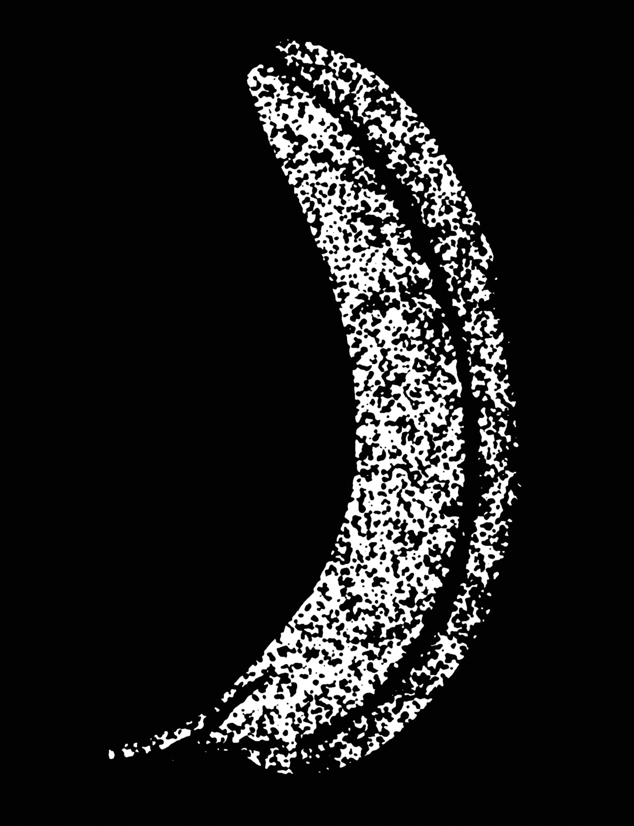 A fuzzy black and white illustration of a banana.