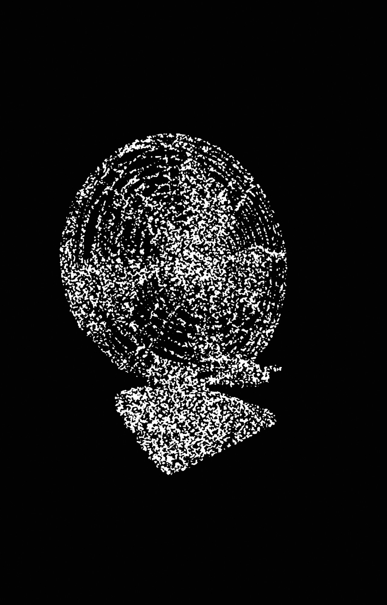 A fuzzy black and white image of a fan.