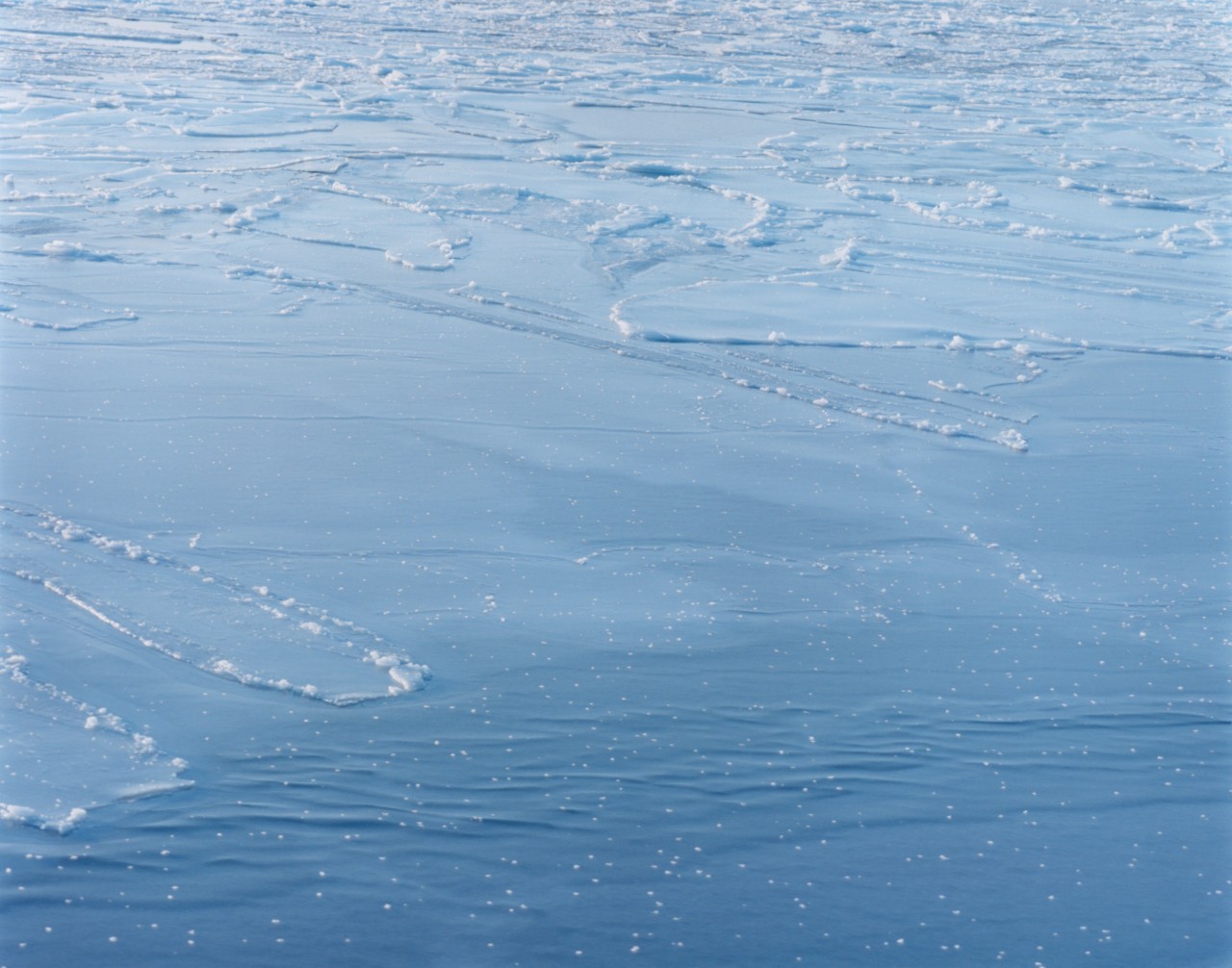 Greenland glaciers