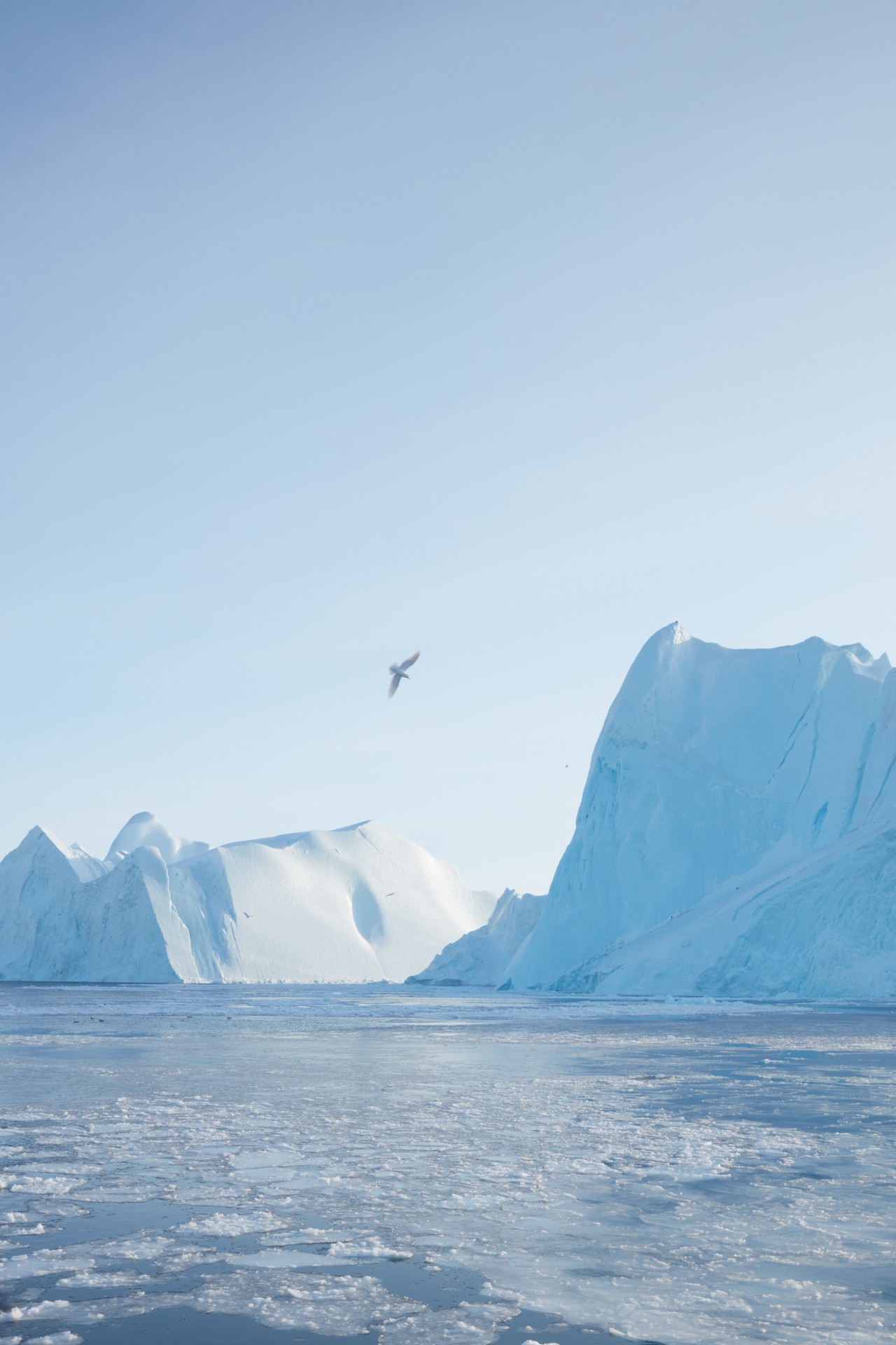 Greenland glaciers