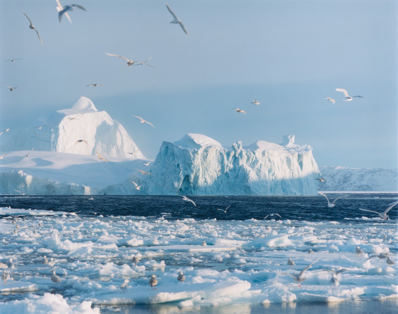 Greenland glaciers