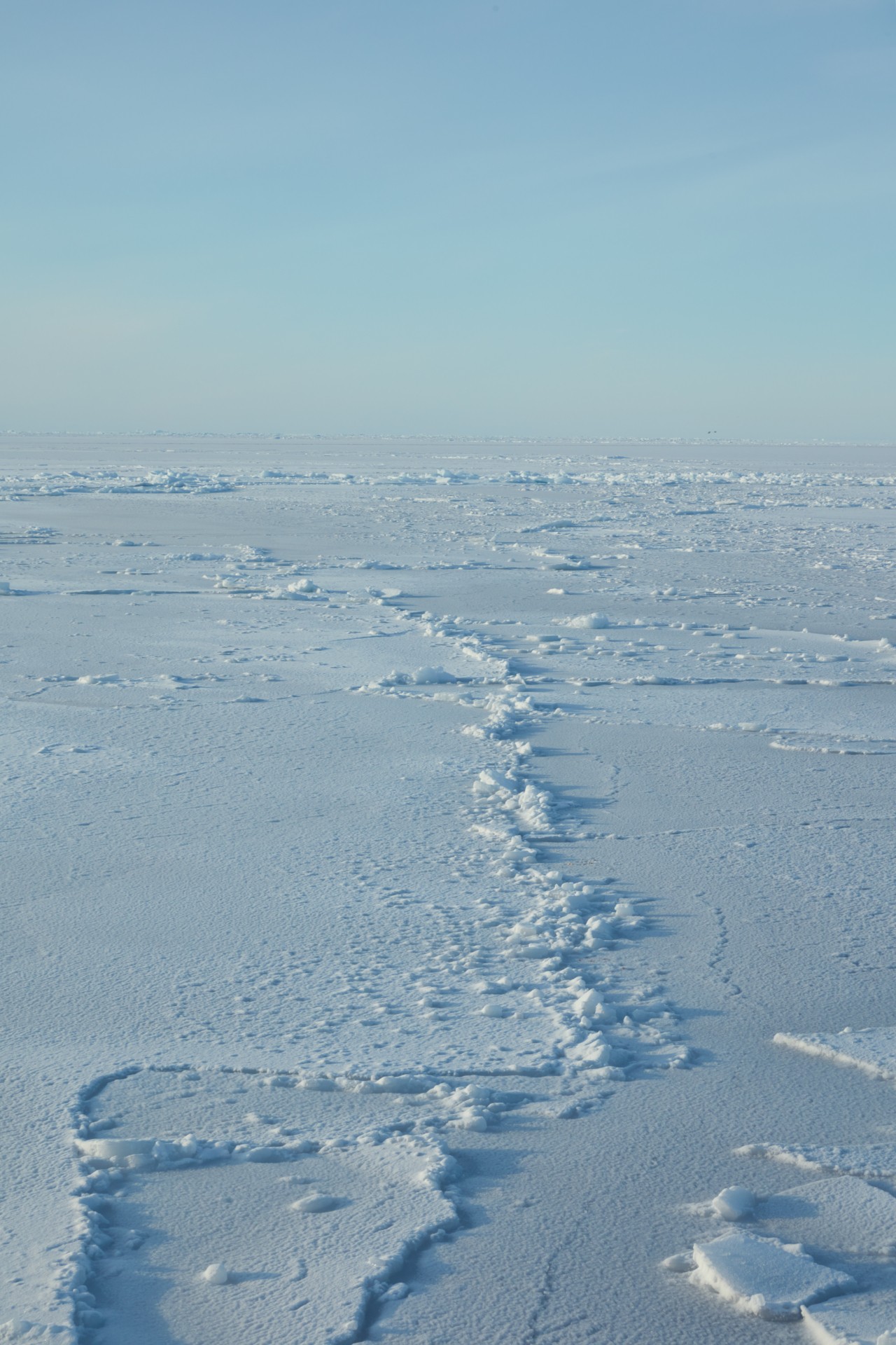 Greenland glaciers