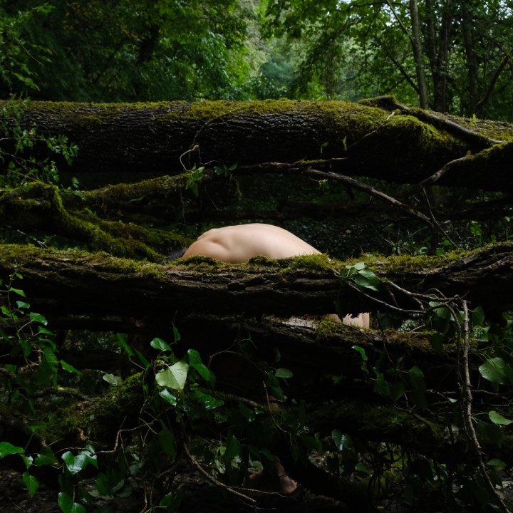 A crouching, naked person is partially covered by mossy fallen tree trunks in the middle of a forest.
