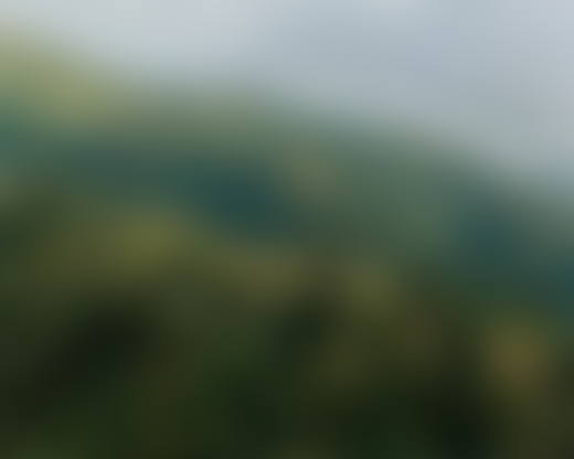 The green plush mountains of Jamaica.