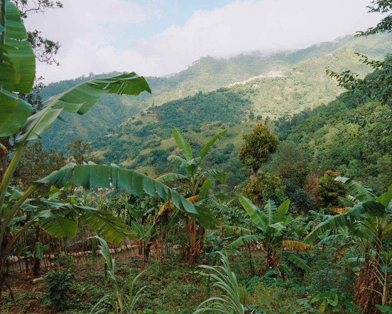 The bright greenery of the mountains.