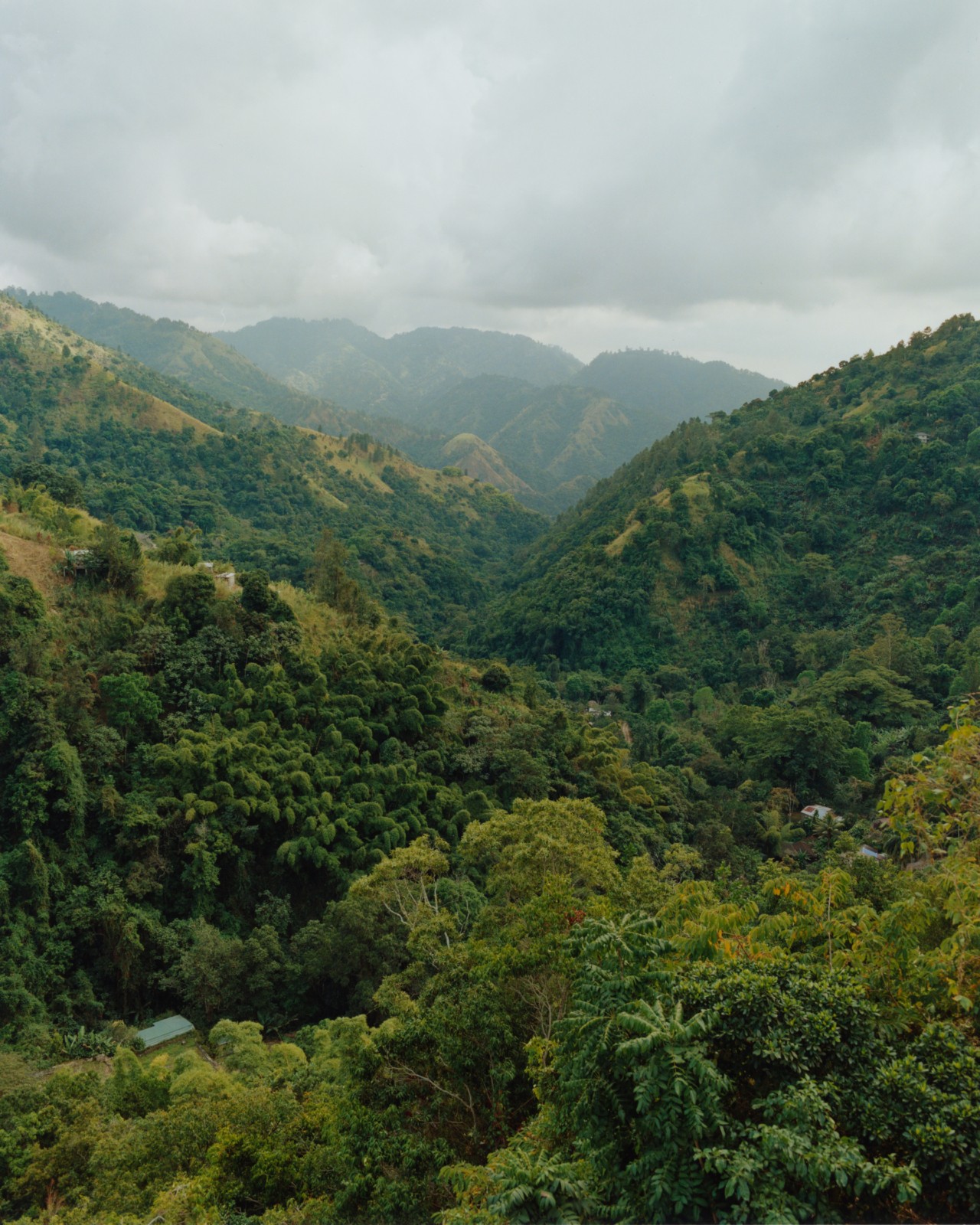 The plush green mountains in Jamaica meet the cloudy sky above.