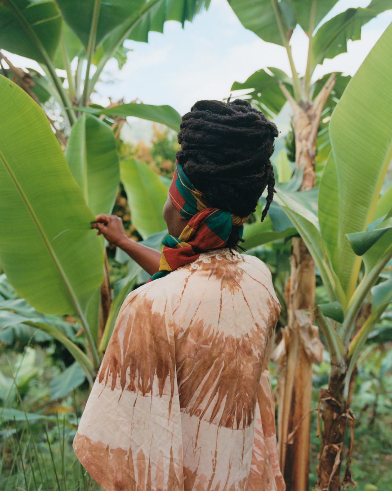 A Jamaican woman faces away from the camera as she grazes a large plant in jungles of Jamaica.