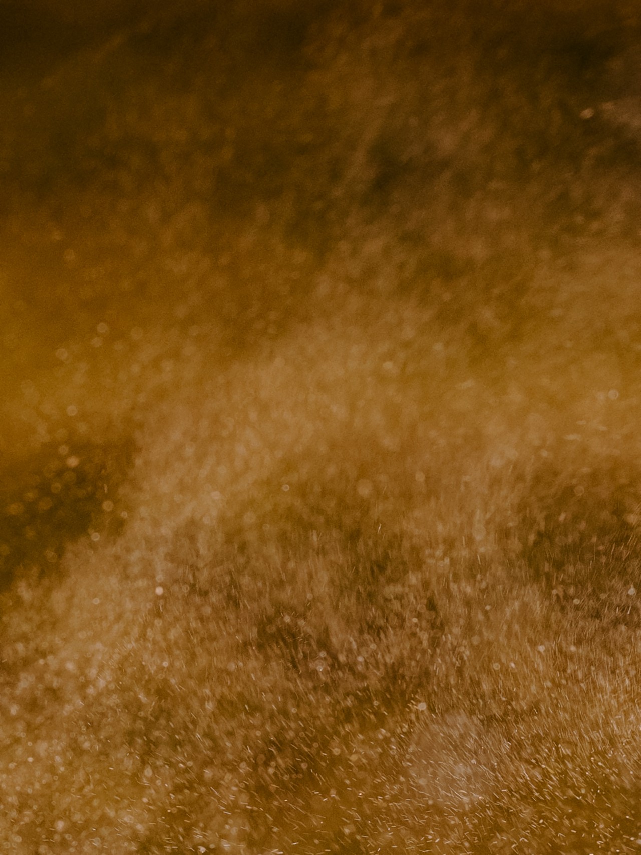 Golden dust particles swirl around in the light