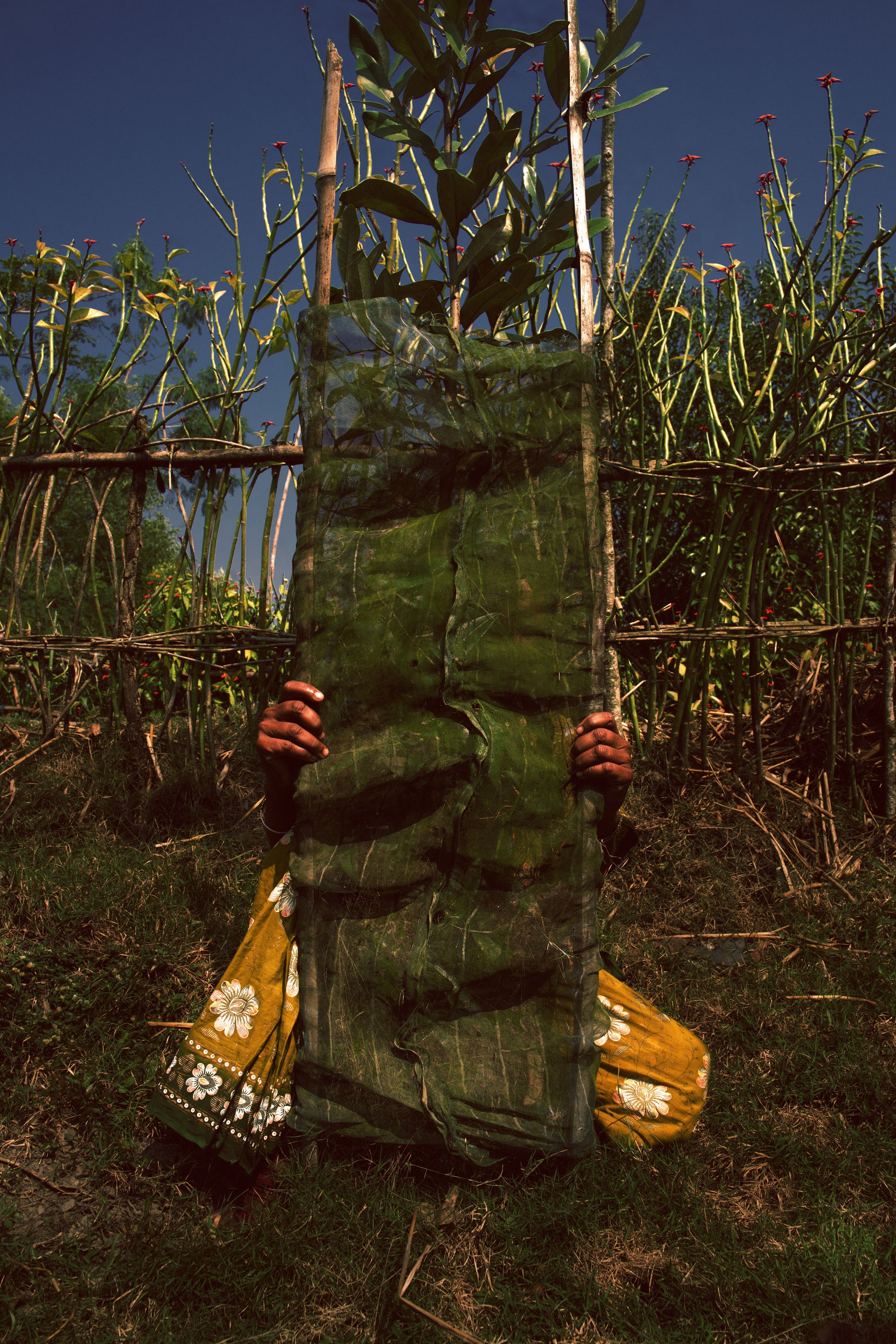 A person crouches, hiding themselves behind green mesh framed by sticks. In the background is a flower field.