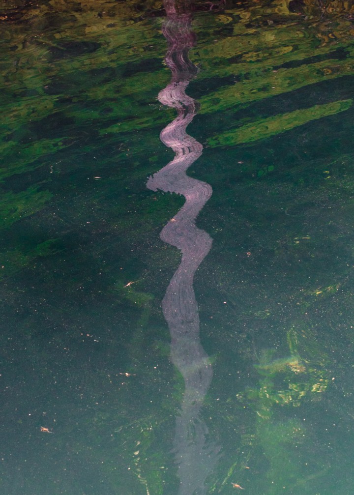 A wavy stream of pink sits on top of a body of water.
