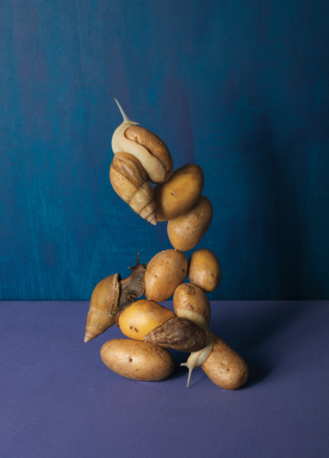 Three snails move along a stack of small potatoes.