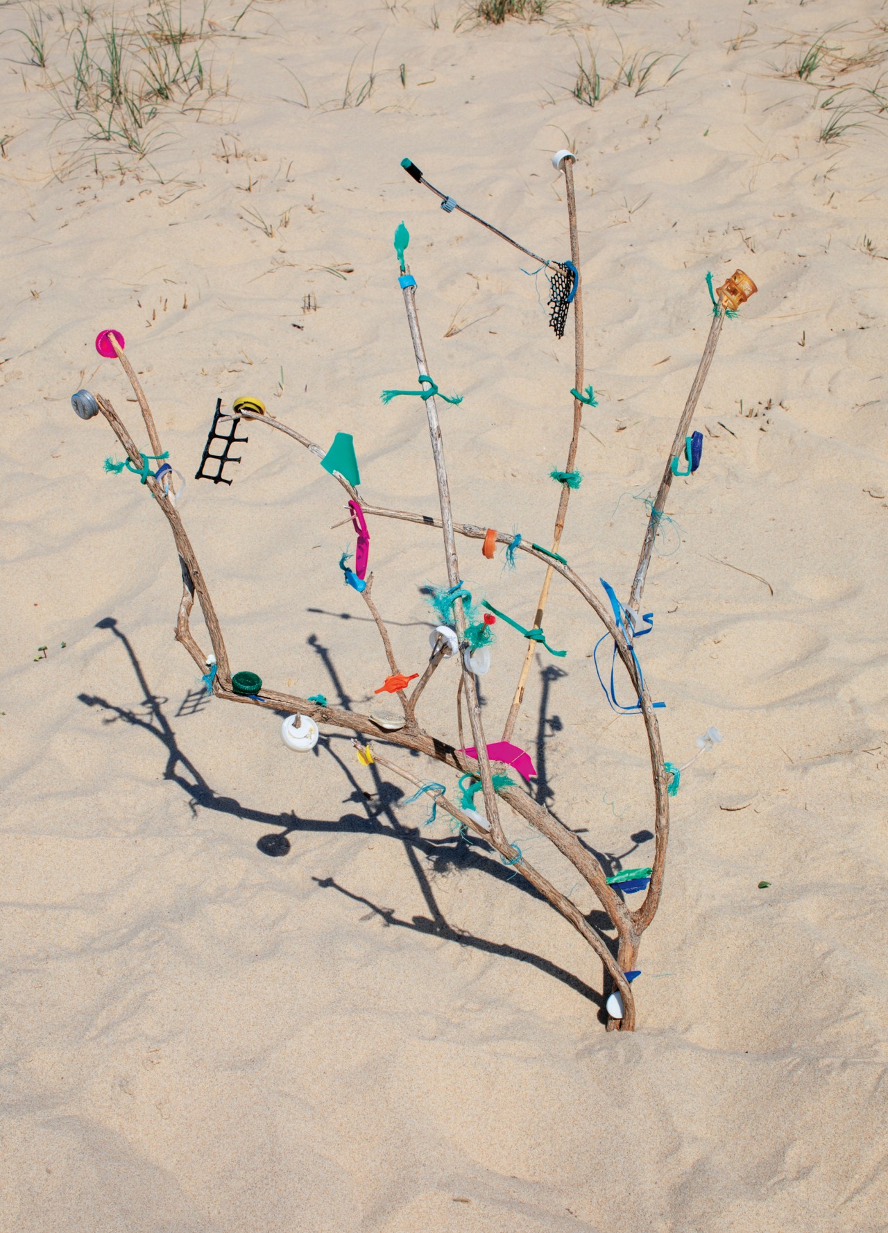 A leafless tree sits in the middle of a bed of sand. Pink and blue pieces of cloth hang from its branches.