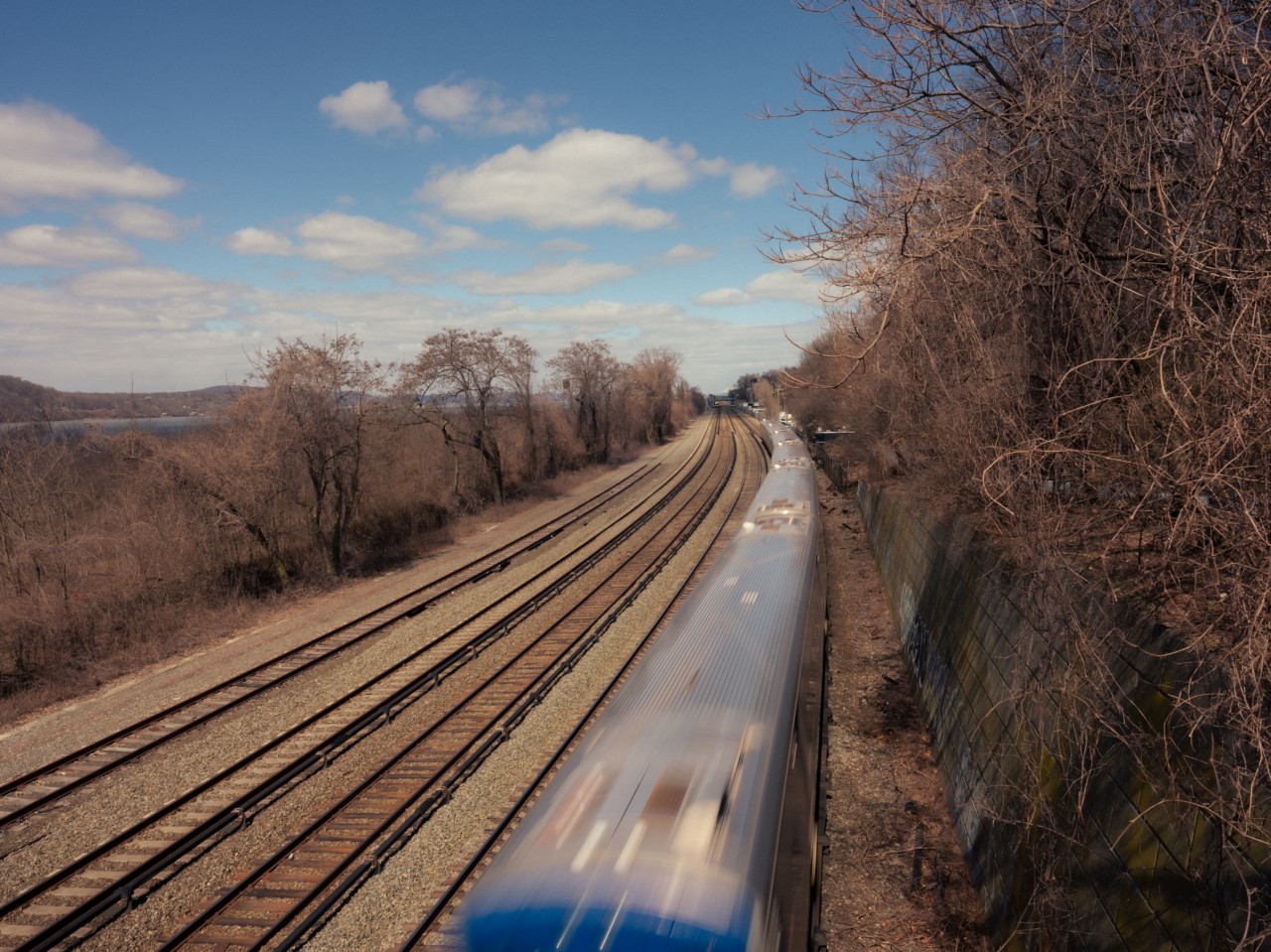 A train speeds past on a railroad surrounded by trees.