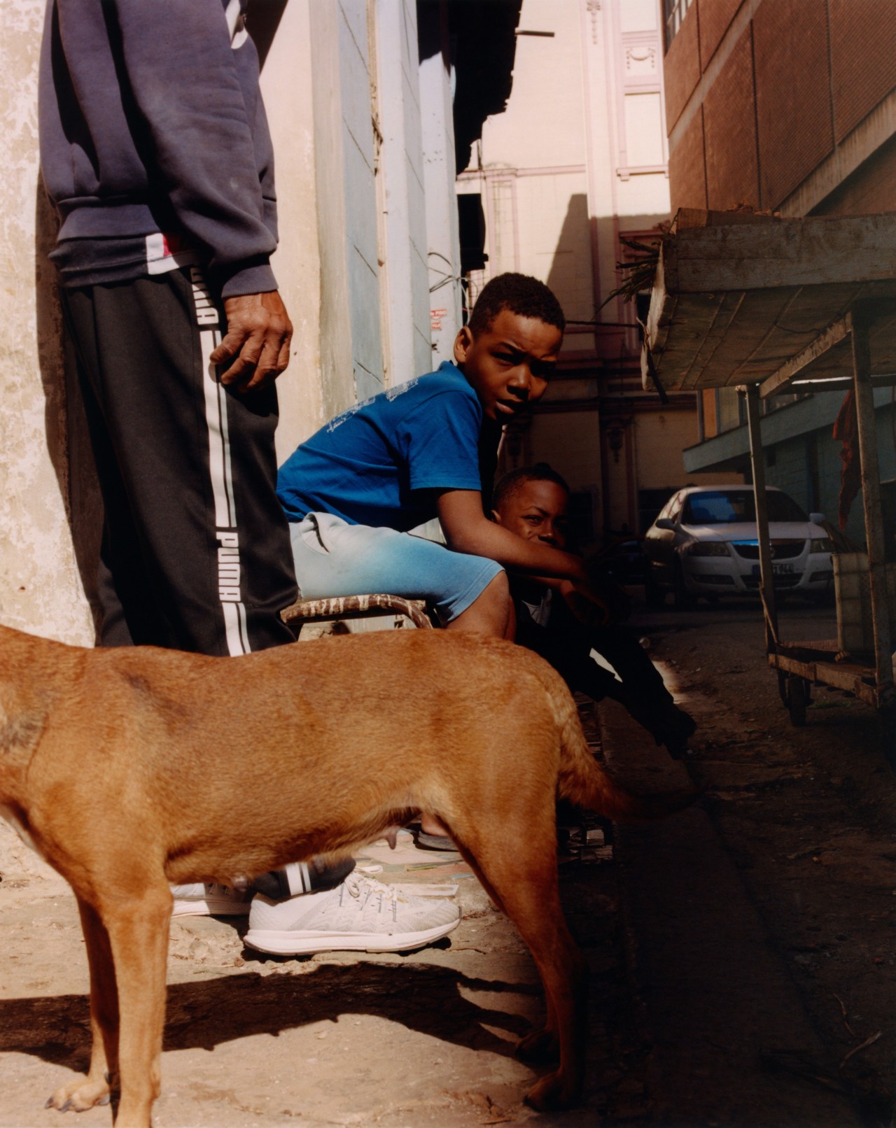 A couple of young boys sit on a stoop while looking over at a man and his dog.