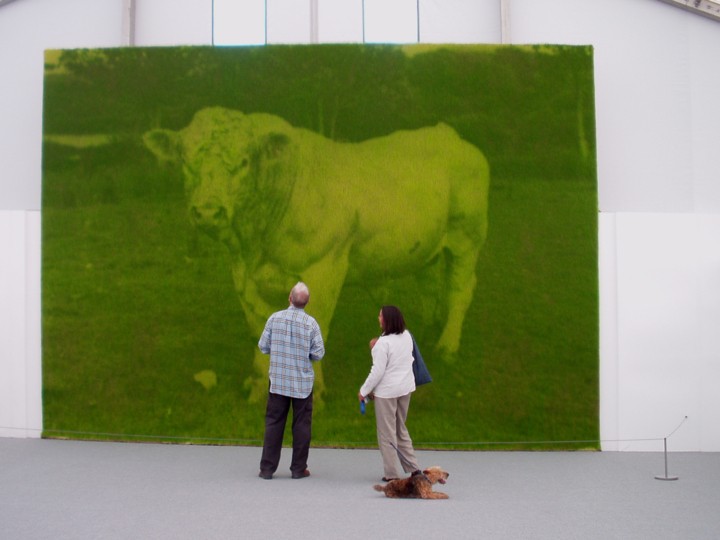 Two people and a dog face away from the camera, while looking up at a large, green photograph of a bull hanging on the wall of the Hayward Gallery.