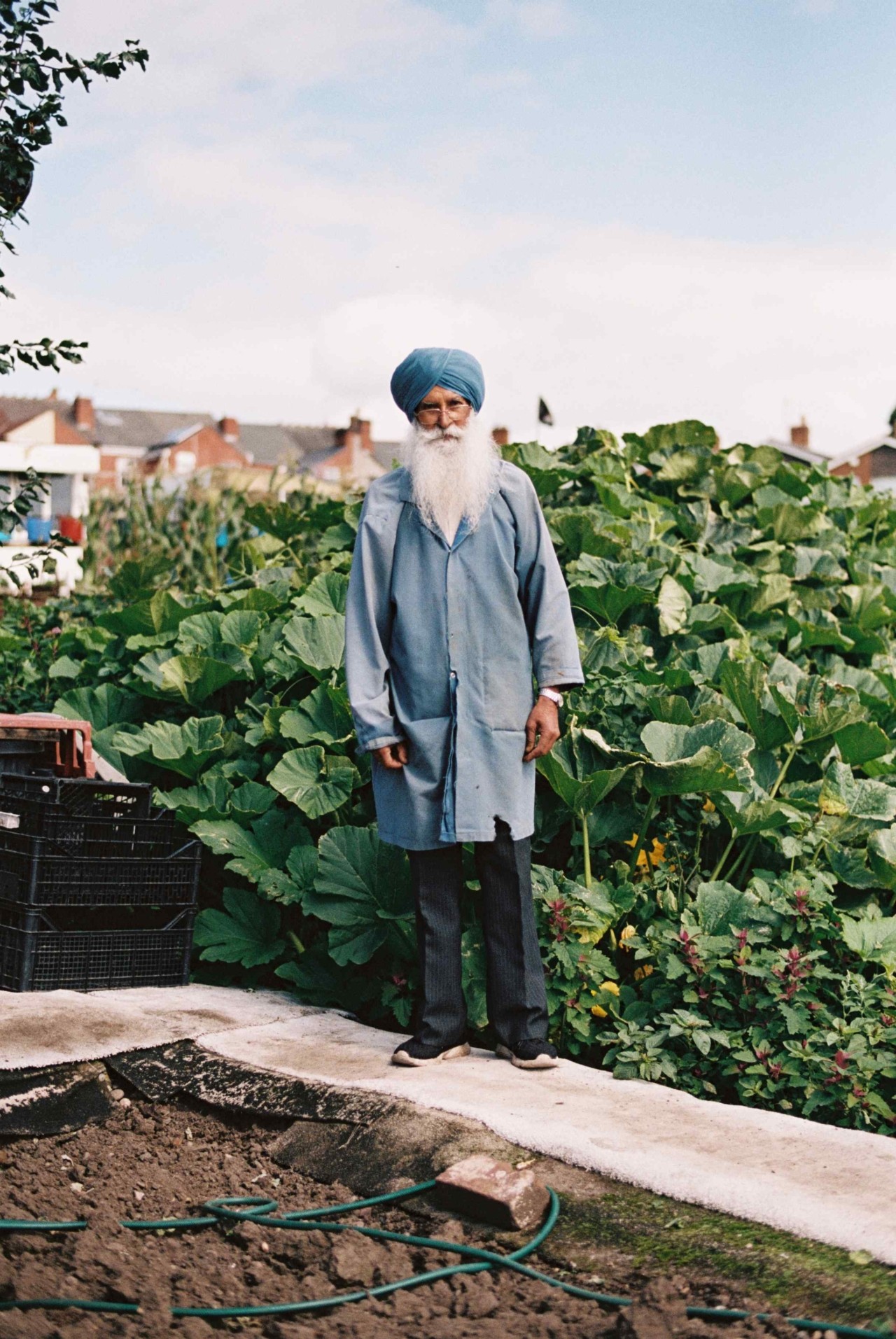 A Punjabi Sikh farmer stands in front of a field of leafy greens.