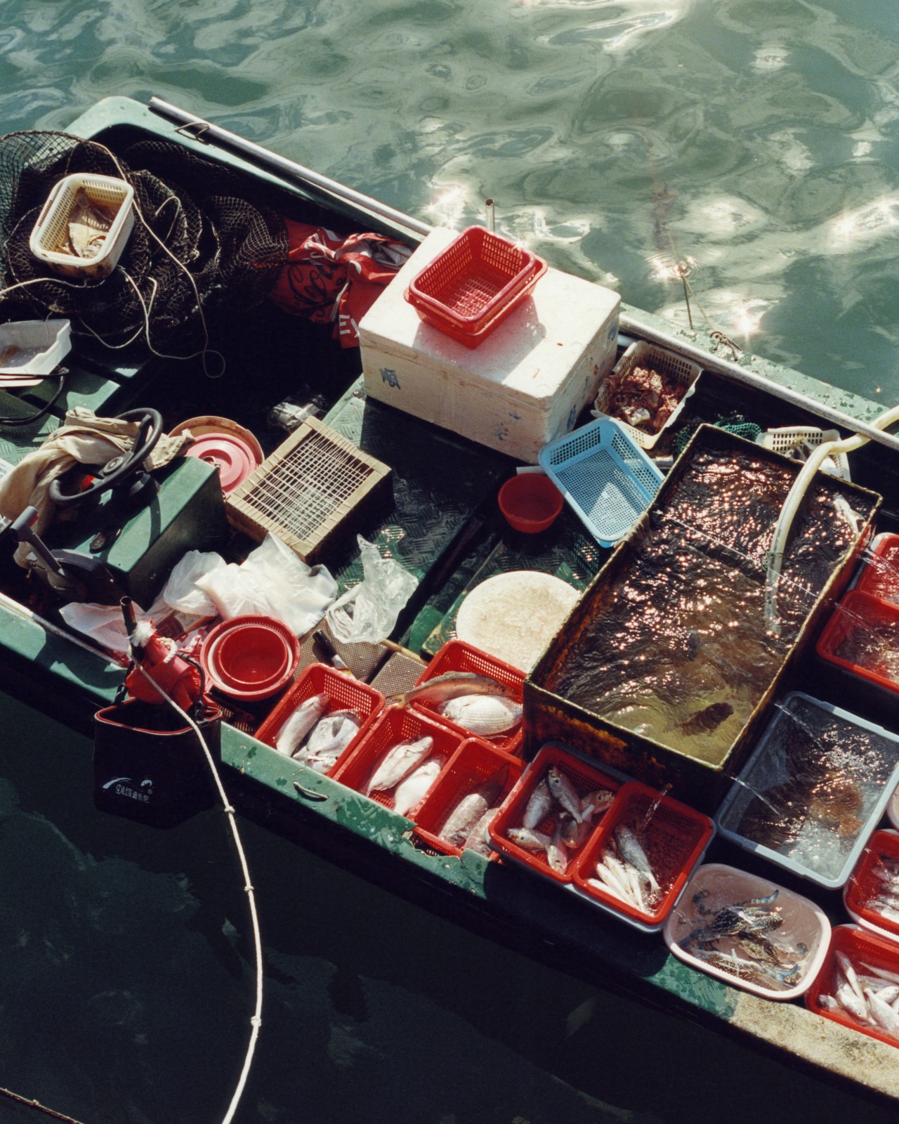 A boat is filled with fish while it floats on the water.