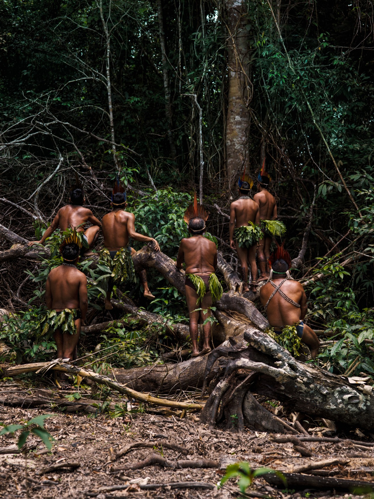 A group of indigenous peoples gather at the edge of the Amazon rainforest.