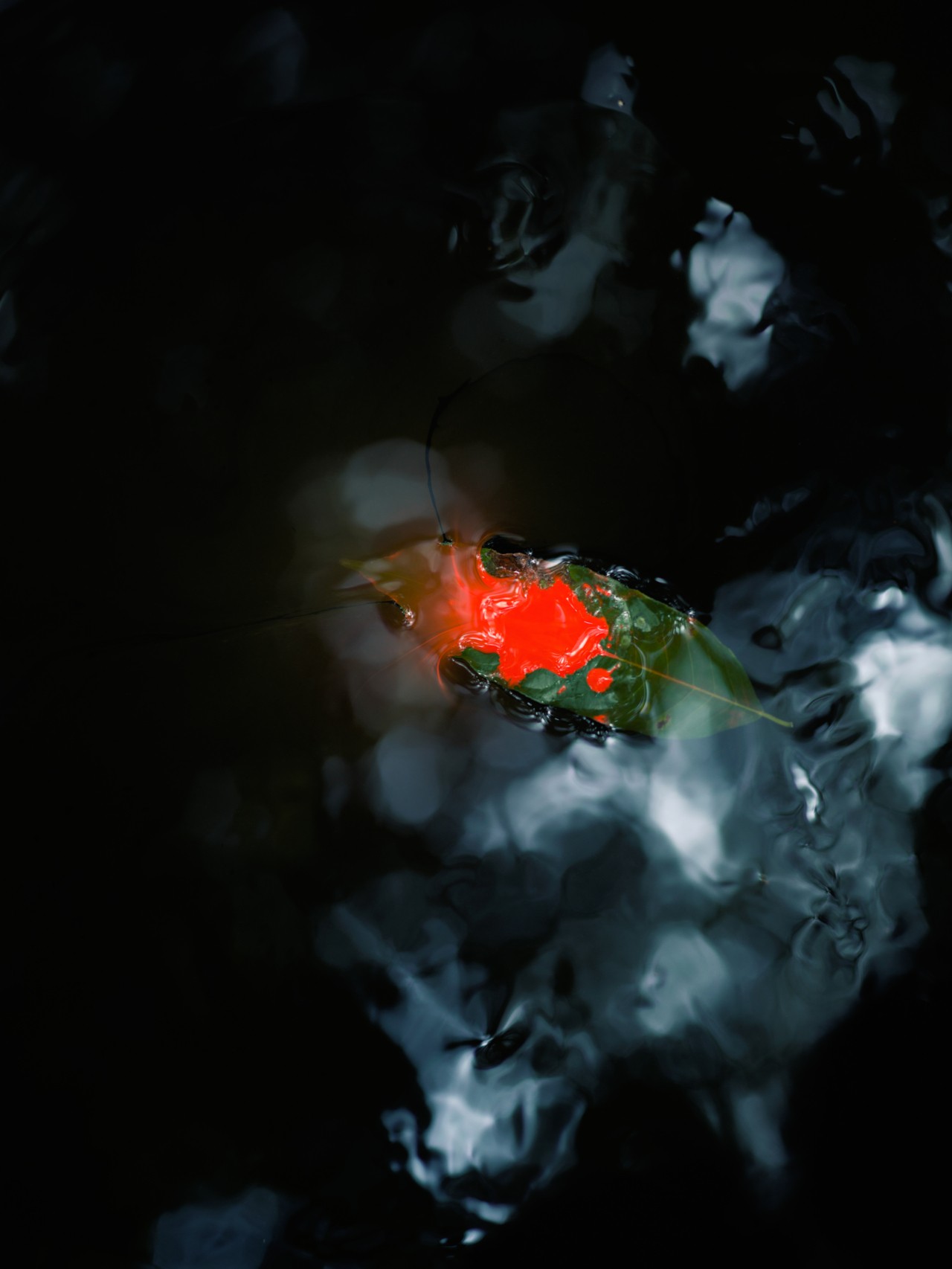 An abstract blend of black, blue, green and red.