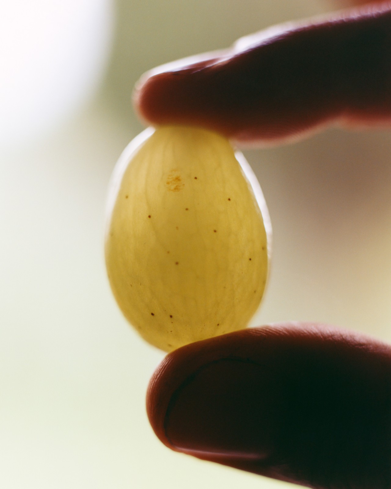 Two shadowed fingers hold a sun-lit green grape between them.