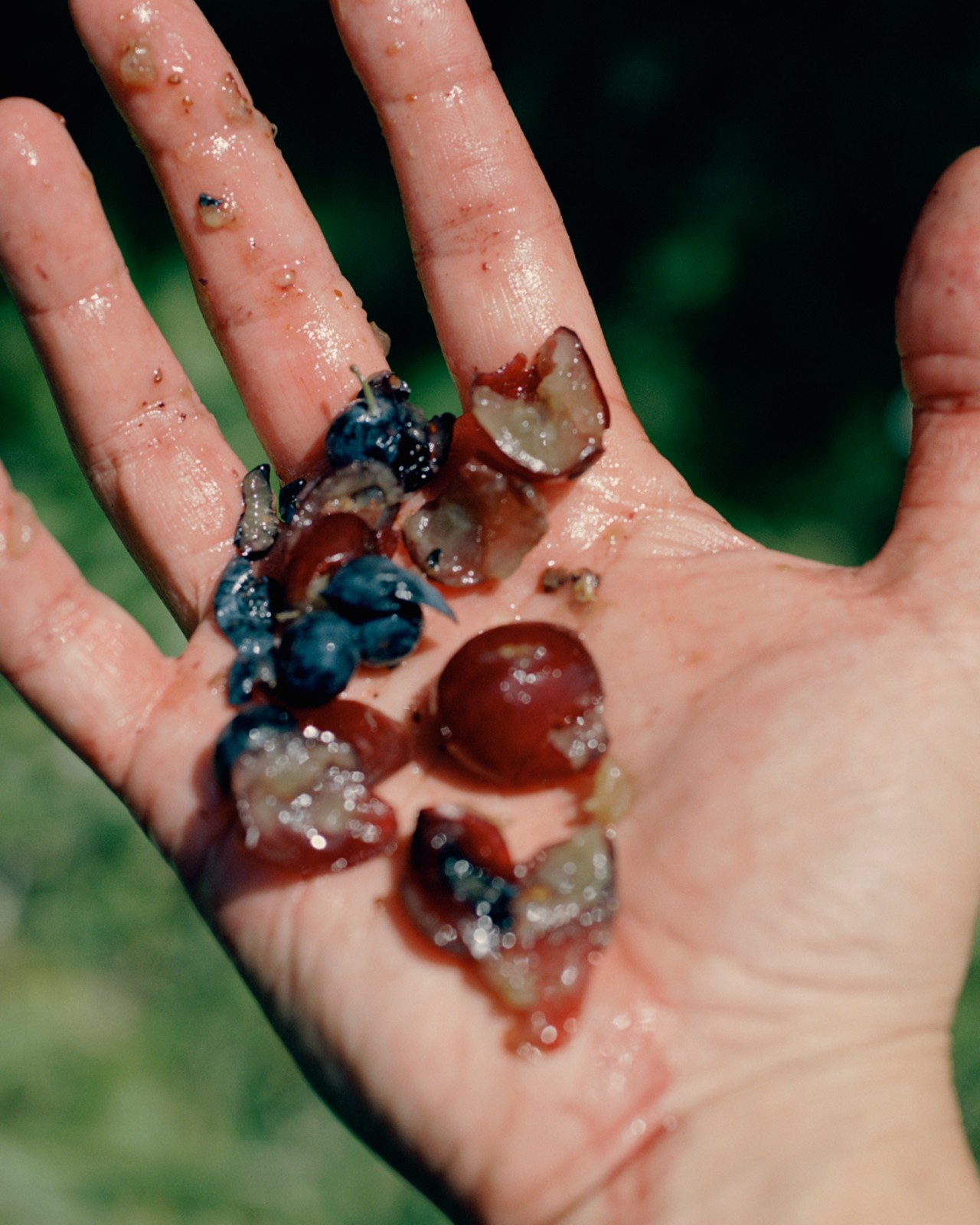 An open faced hand is holding a cluster os smashed fruit.