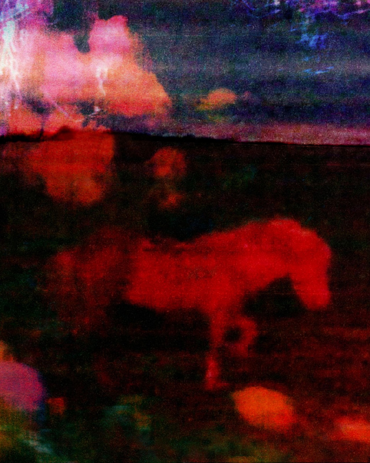 An abstract red gorse trots outside, with a blue sky and clouds in the background.