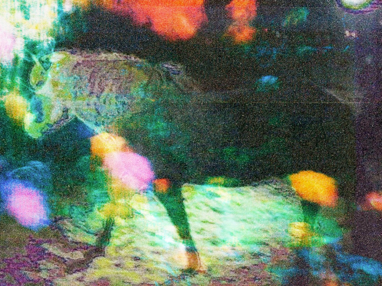 A horse stands parallel to the camera. Bright colors surround it.