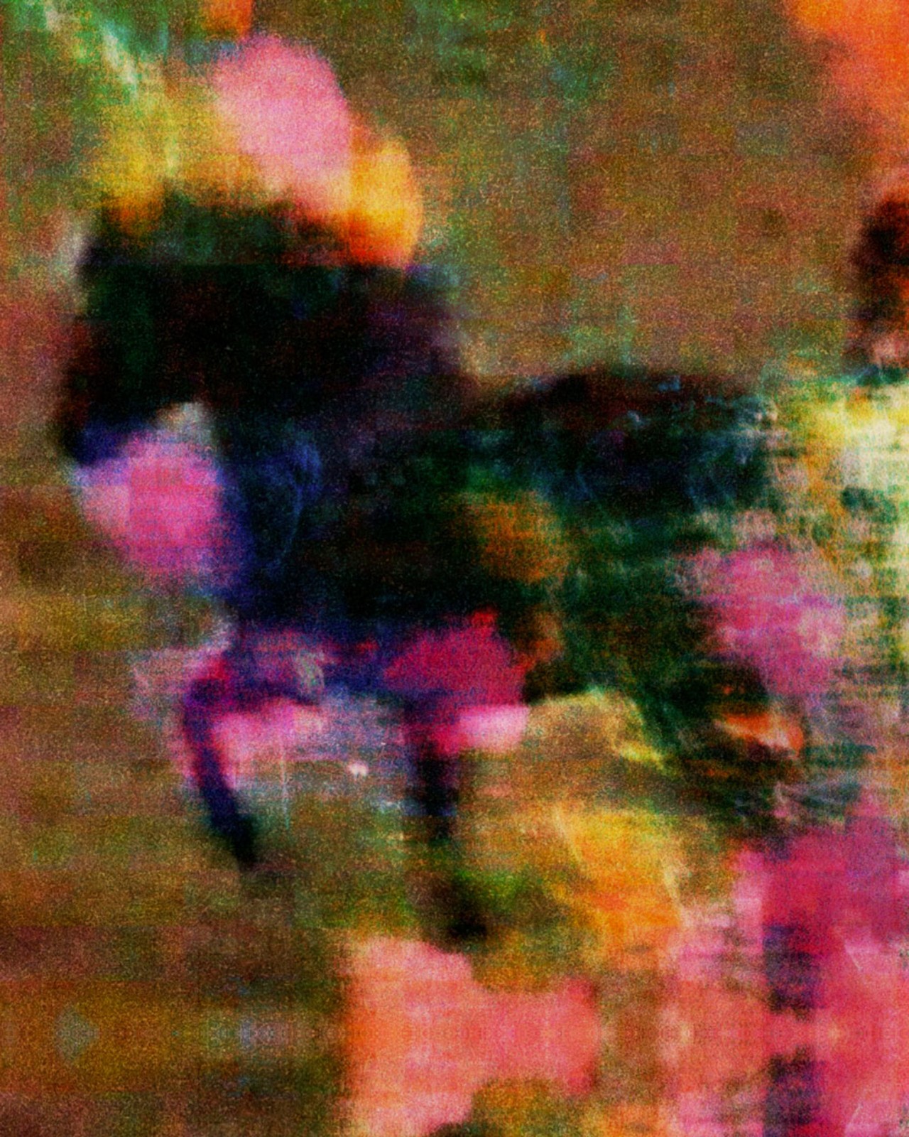 The shadow of a horse on a tie dye abstract background.