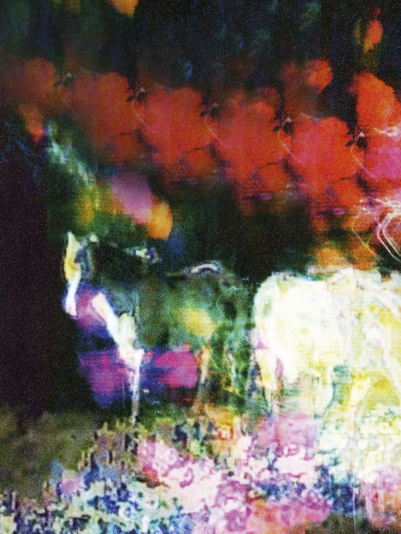 A horse stands outside, the background is filled with bright abstract colors.