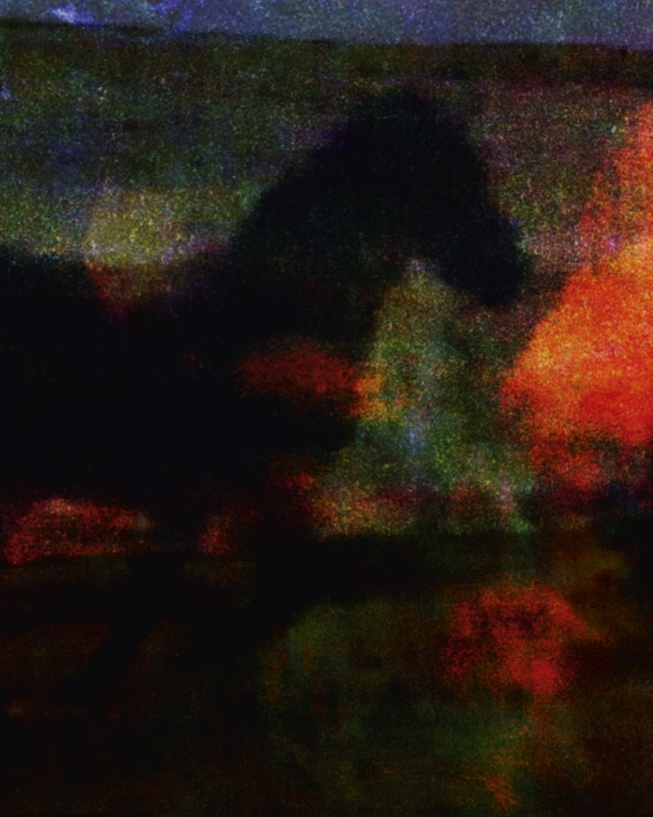 The shadow of a horse with green and orange background.