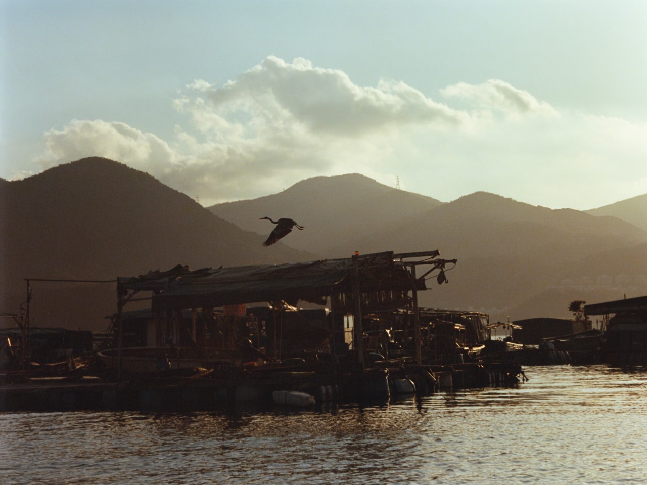 A bird flies above the waterways and mountains in a Hong Kong village.