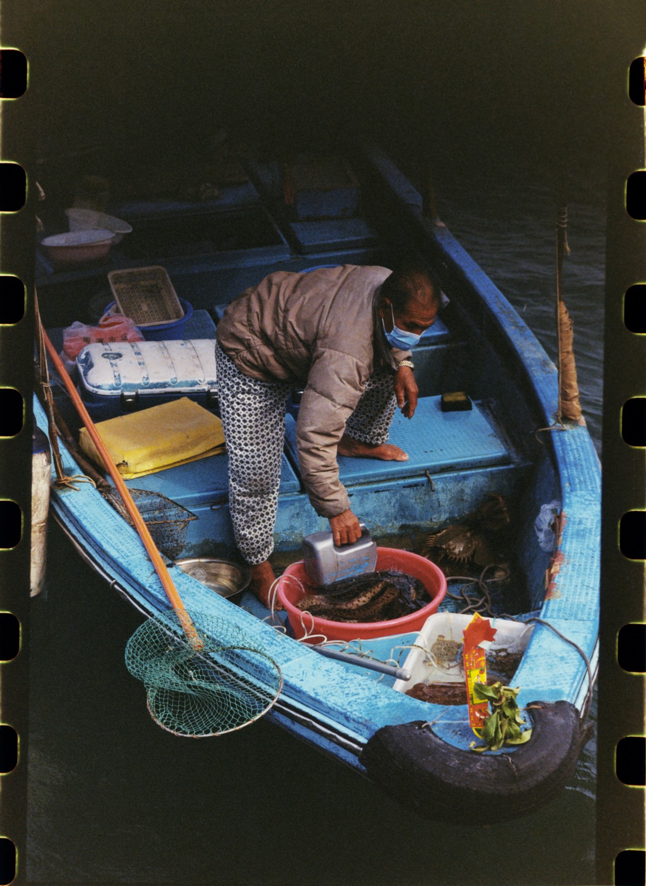 A person tends to a bucket of fish on their blue boat.