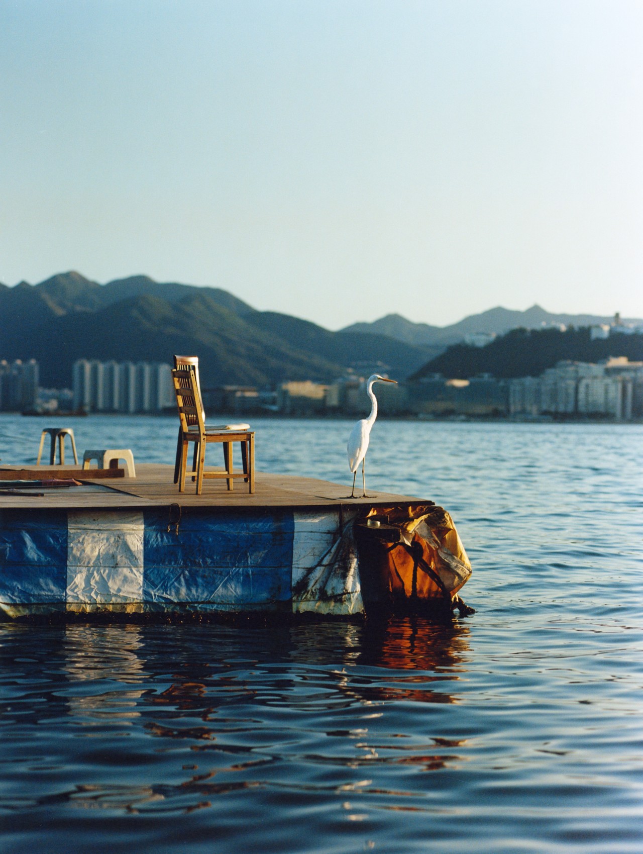 A bird stands at the end of a dock.