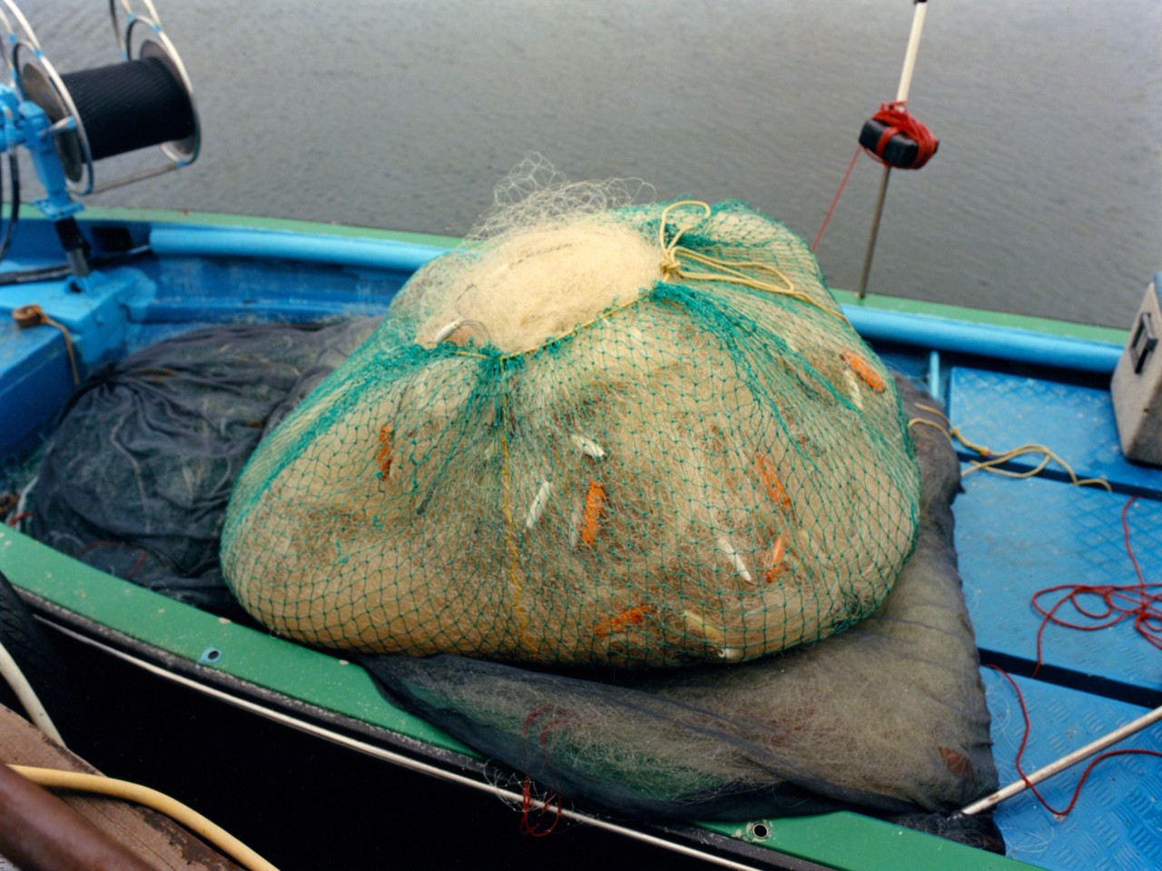 A large green net hold beige fur that is sitting on a blue boat.