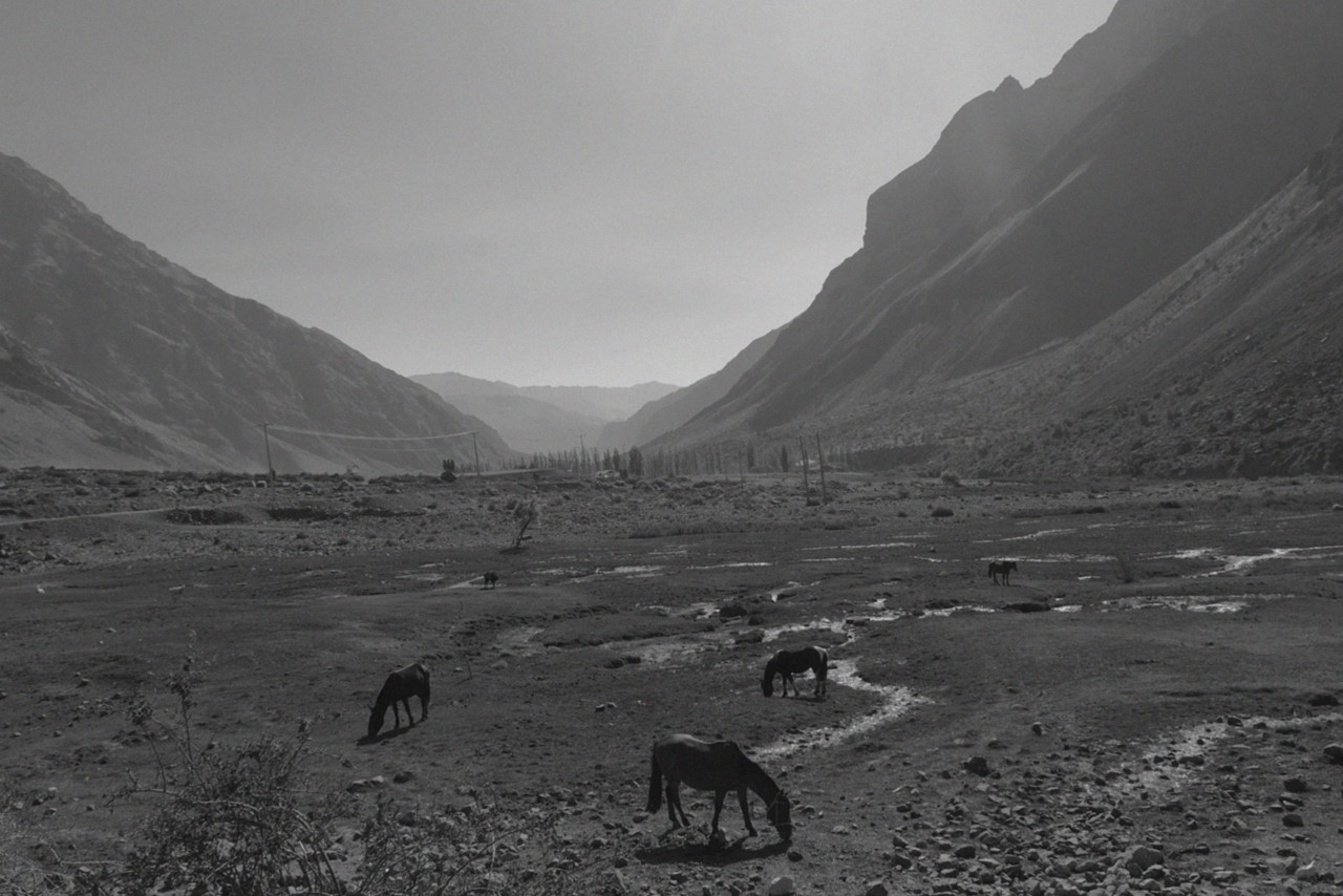 Several horses graze in the lower plains of the Chilean Andes.