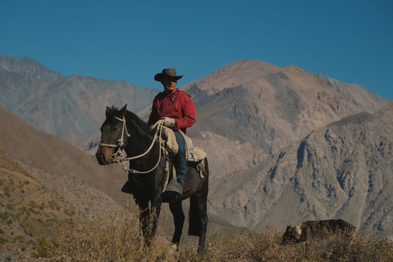 A Chilean herder wearing a cowboy hat sits on a black horse among the Chilean mountains.