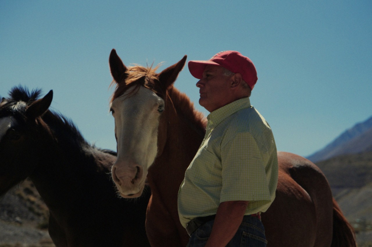 A male Chilean herder wearing a red cap stands facing toward a black and brown horse.
