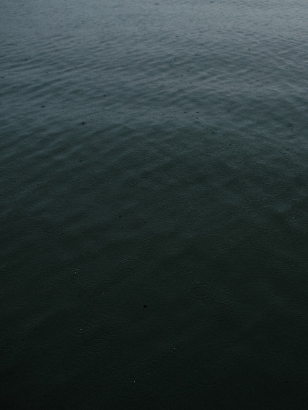 An ominous shadow hovers above the sea water.