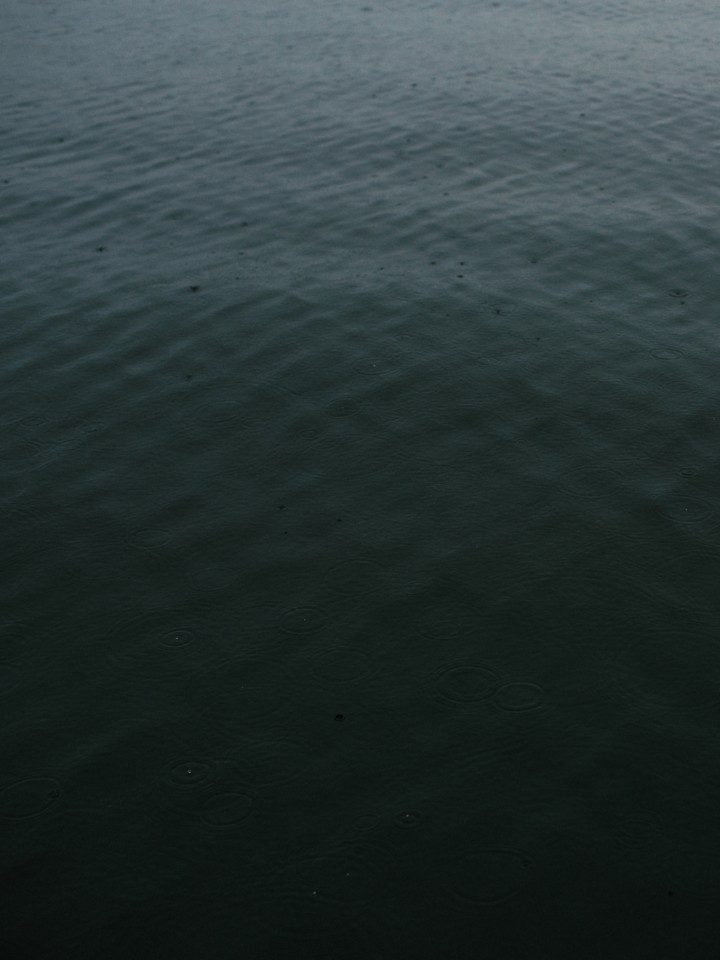 An ominous shadow hovers above the sea water.