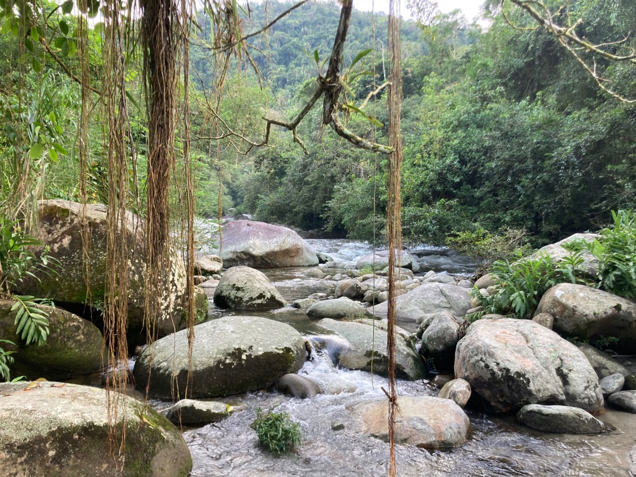 A river filled with large boulders, the forest of Colombia in the distance.